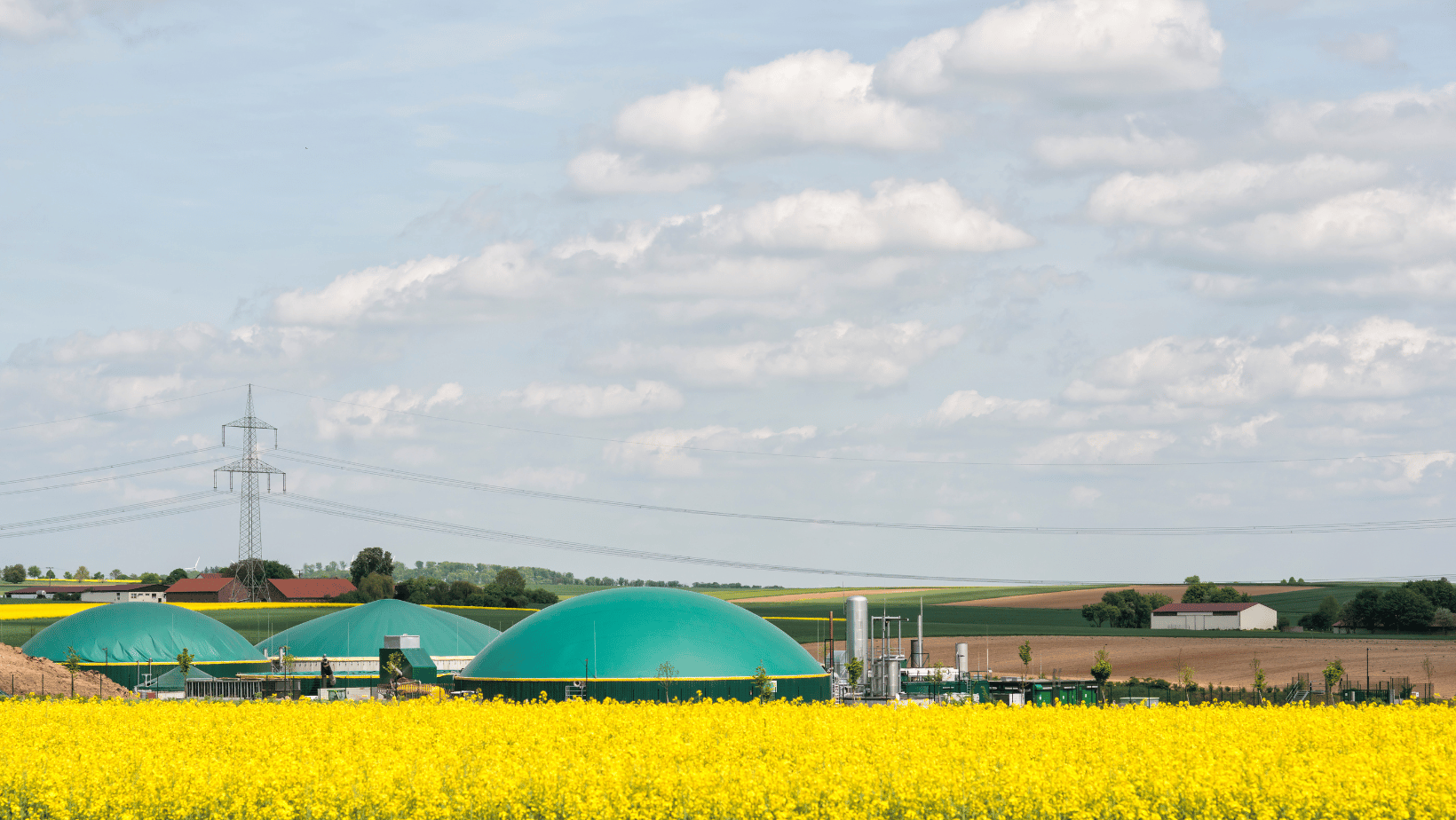 Results from ALFA’s citizens and stakeholder surveys on biogas perceptions and challenges