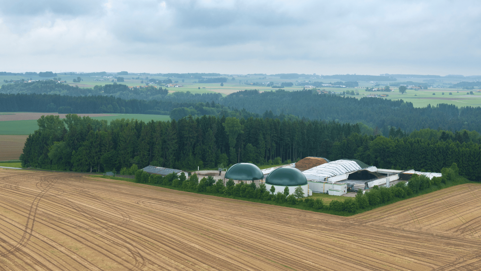 Delving into livestock and biogas insights in Europe