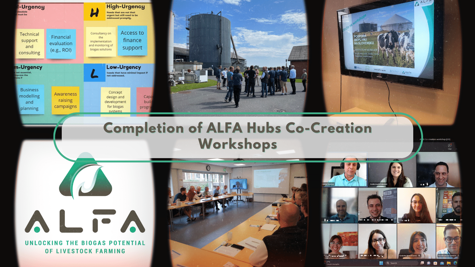 The ALFA Co-Creation Workshops successfully wrapped up!
